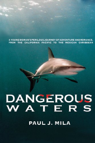 Manetta mystery series, scuba book cover art