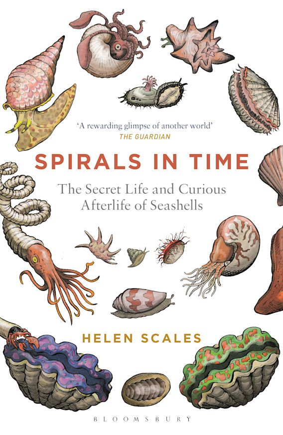 Spirals in time, scuba book cover