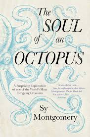 The soul of an octopus, scuba book cover