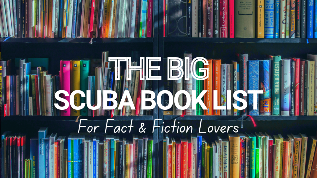 A colourful bookshelf