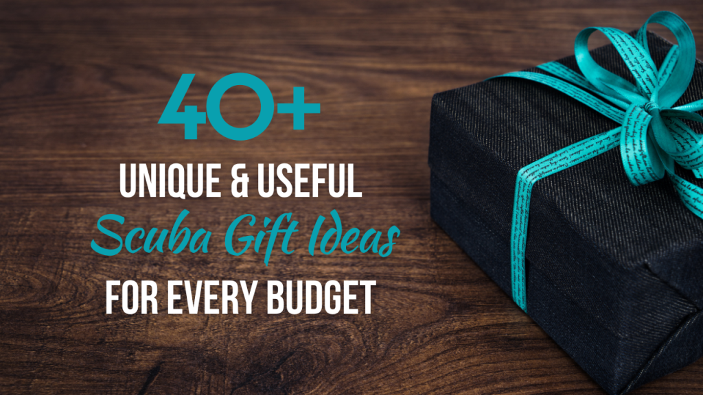A gift wrapped in black paper and aqua blue ribbon