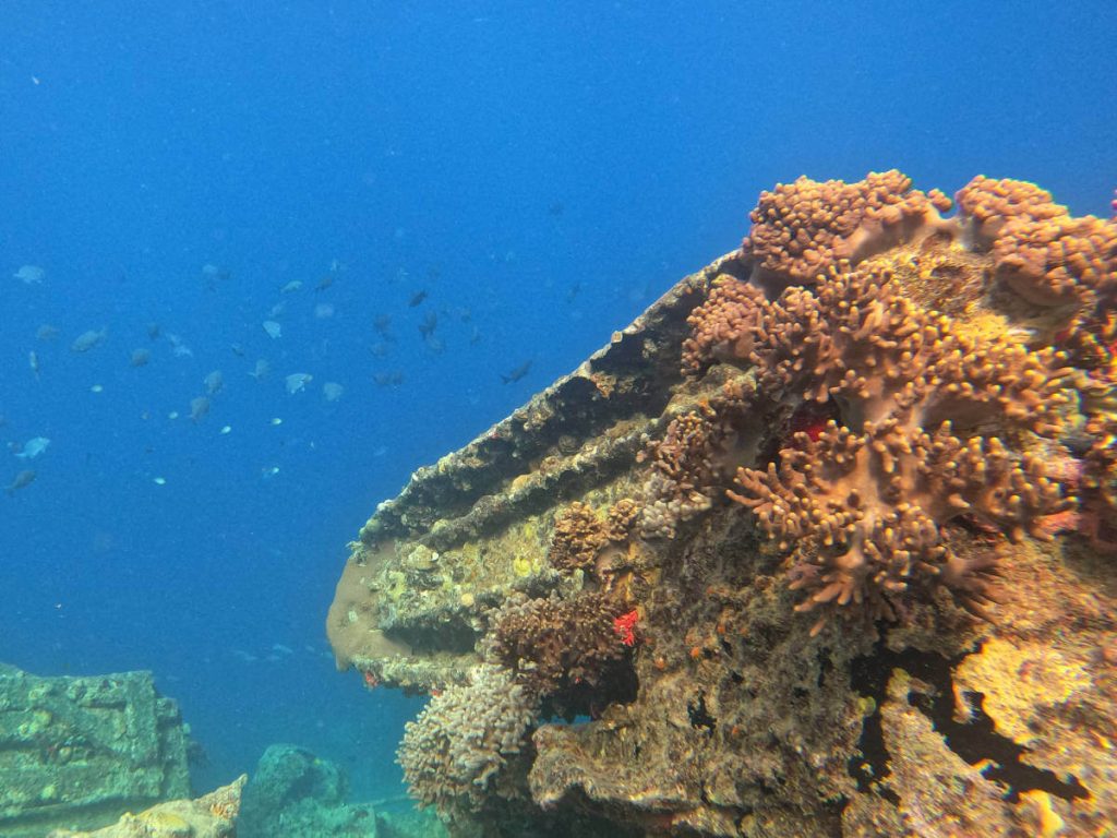 Coral-covered bulldozer or tank at Million Dollar Point, Espiritu Santo, Vanuatu