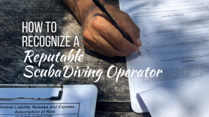 How to recognize a reputable scuba diving operator blog post thumbnail