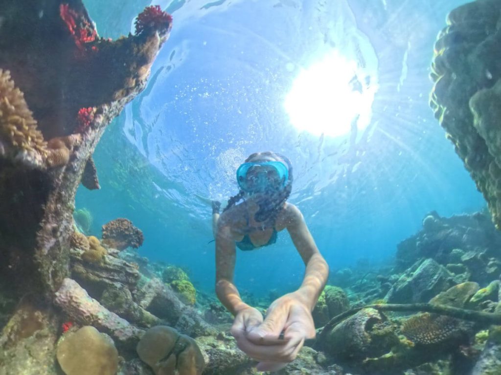 Snorkelling in Espiritu Santo on Million Dollar Point