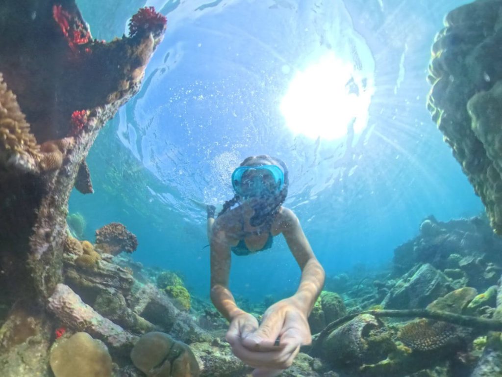 What you can see snorkelling on Million Dollar Point