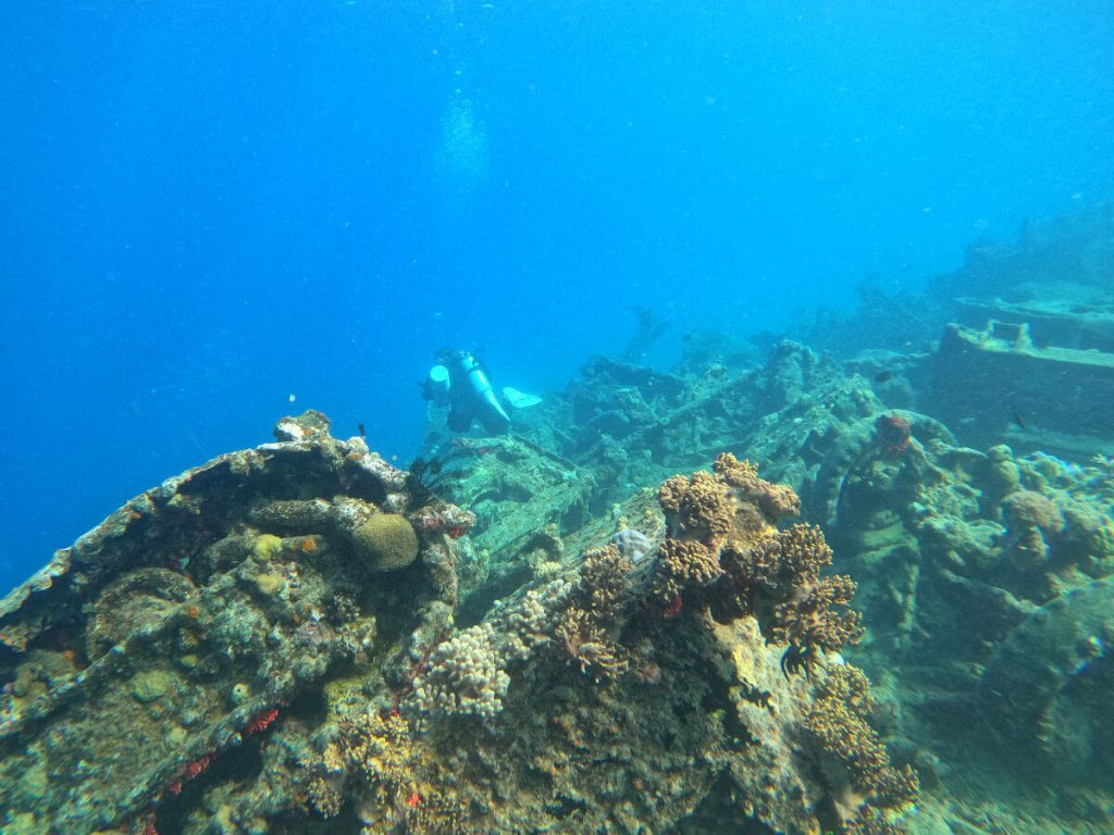 Scuba diver on Million Dollar Point