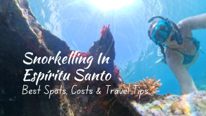 Snorkelling in Espiritu Santo