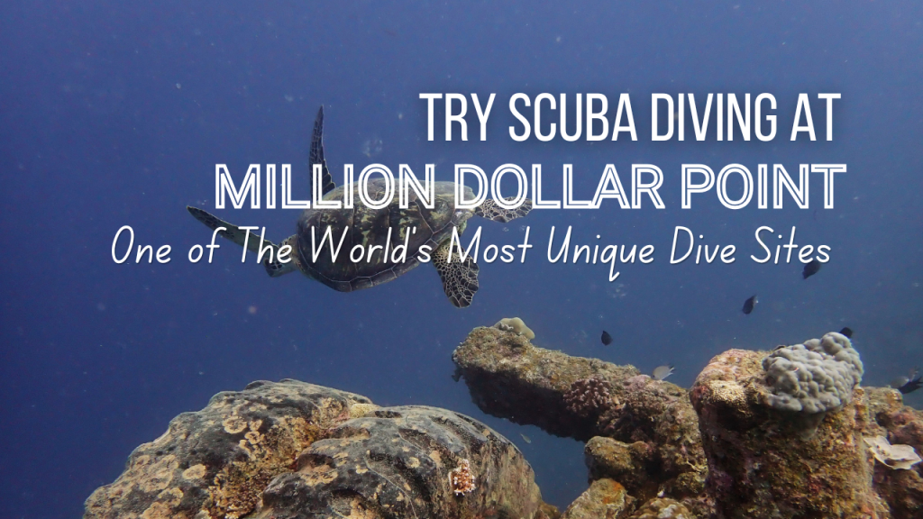 Thumbnail for try scuba diving experience on million dollar point