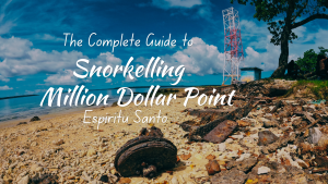 Million Dollar Point Snorkelling Guide Thumbnail