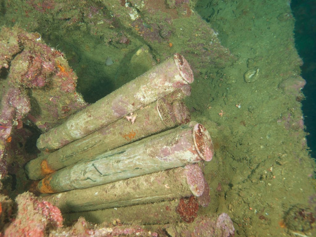 Artifacts on the SS President Coolidge: WWII Ammunition