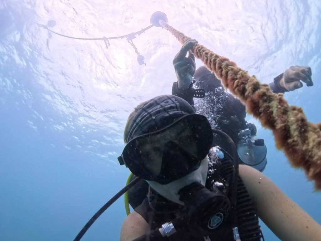 Diver using mooring line on the SS President Coolidge dive site in Espiritu Santo, Vanuatu