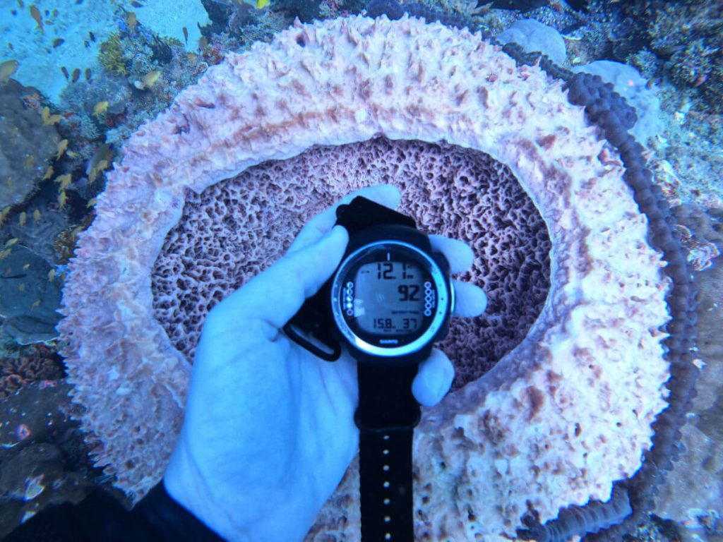 Diver showing depth in reference to sticking within their scuba certification limits