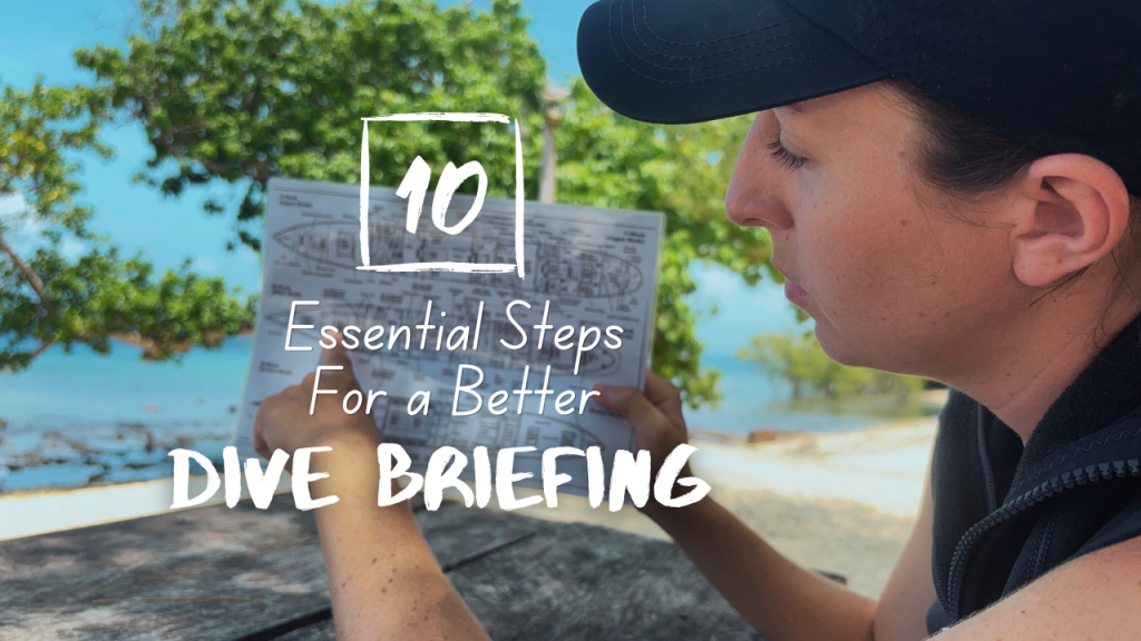 10 Essential Steps for a Better Dive Breifing