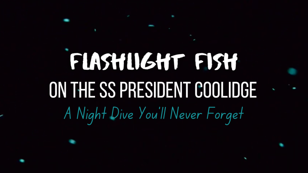 Flashlight Fish on the SS President Coolidge - Blog Post Thumbnail