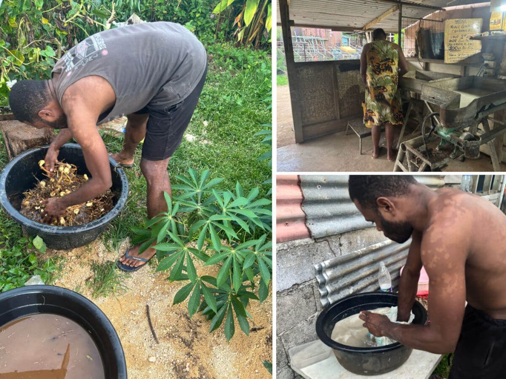 Man washing, grinding and making kava in Vanuatu