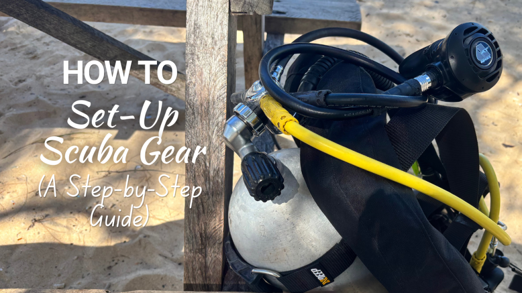 How to Set-up Scuba Gear - Blog Post Thumbnail