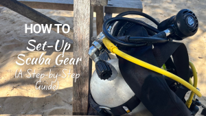 How to Set-up Scuba Gear - Blog Post Thumbnail