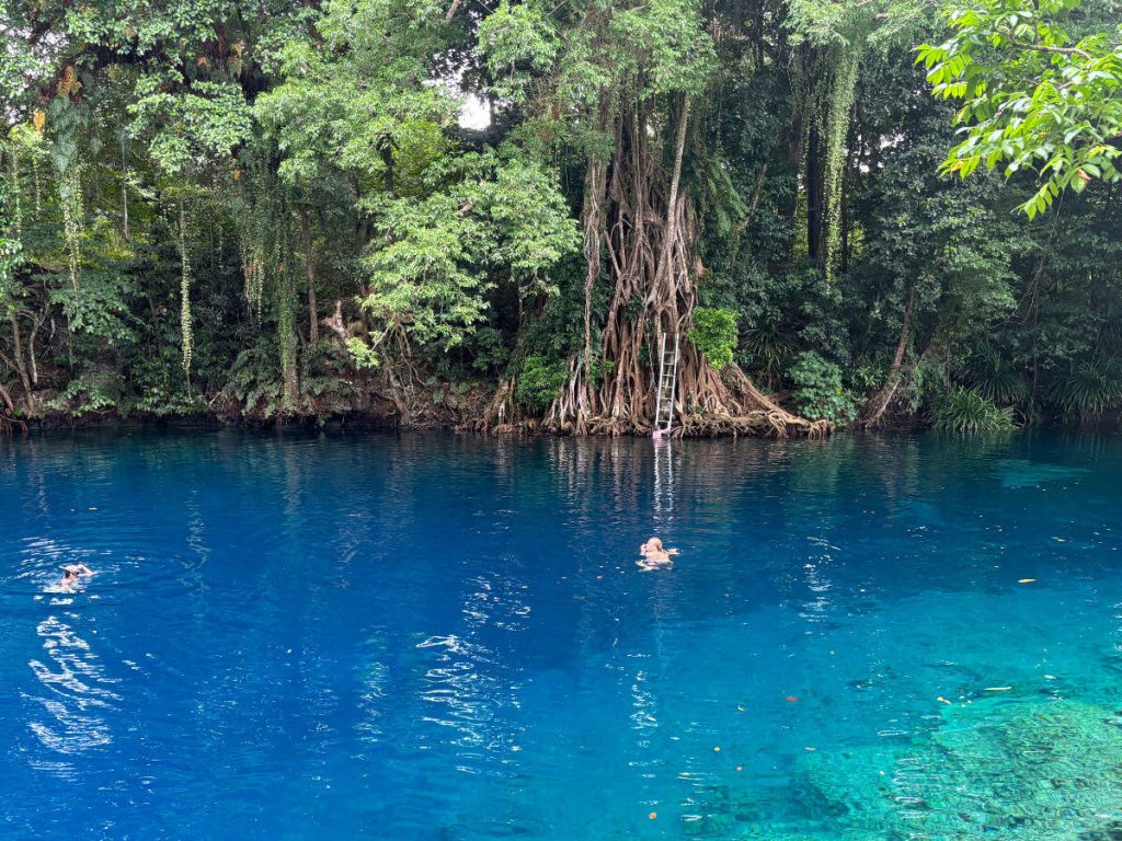 Blue Holes in Espiritu Santo - Matevulu Blue Hole