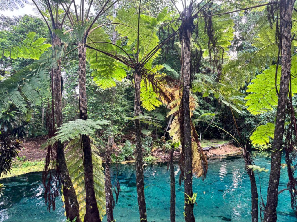 Blue Holes in Espiritu Santo