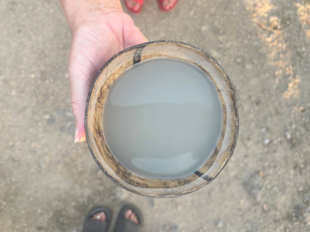 Vanuatan food guide - Kava