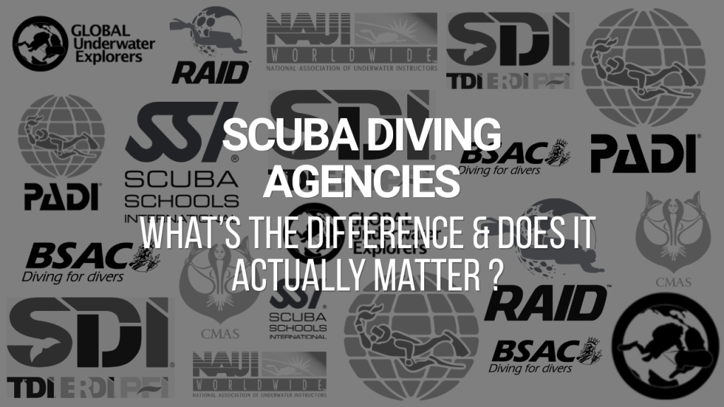 Scuba Diving Agencies: What's the difference and does it actually matter blog post thumbnail