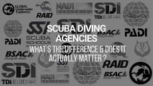 Scuba Diving Agencies: What's the difference and does it actually matter blog post thumbnail
