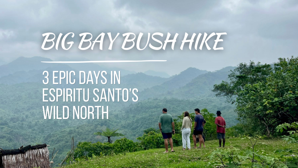 Big Bay Bush Hike - Thumbnail
